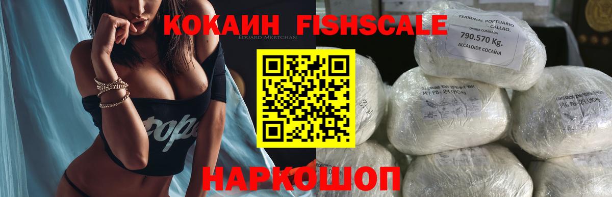 COCAIN Fish Scale  Вход с VPN  где купить наркоту  COCAIN Columbia  Мурино 