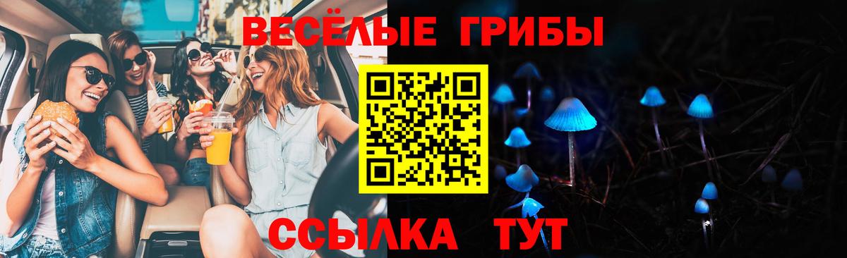 Псилоцибиновые грибы мицелий Мурино